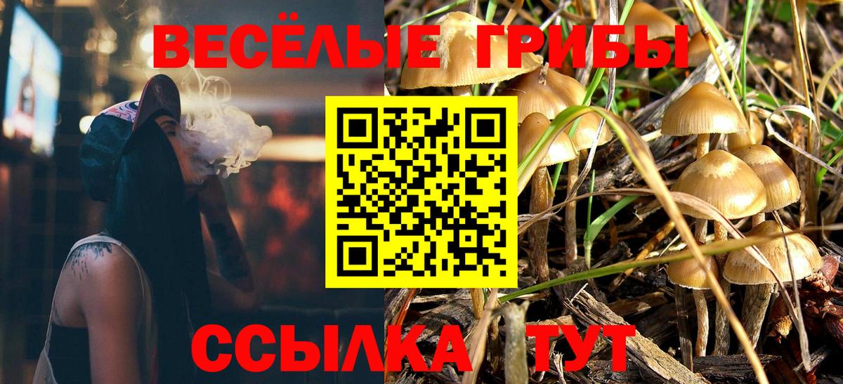 наркота  Галлюциногенные грибы мухоморы  Вход с VPN  Чайковский  Галлюциногенные грибы мухоморы 